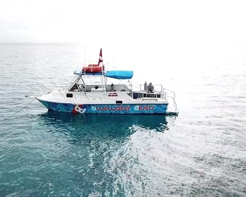 Private 2-Tank Scuba Diving Charter in Key Largo
