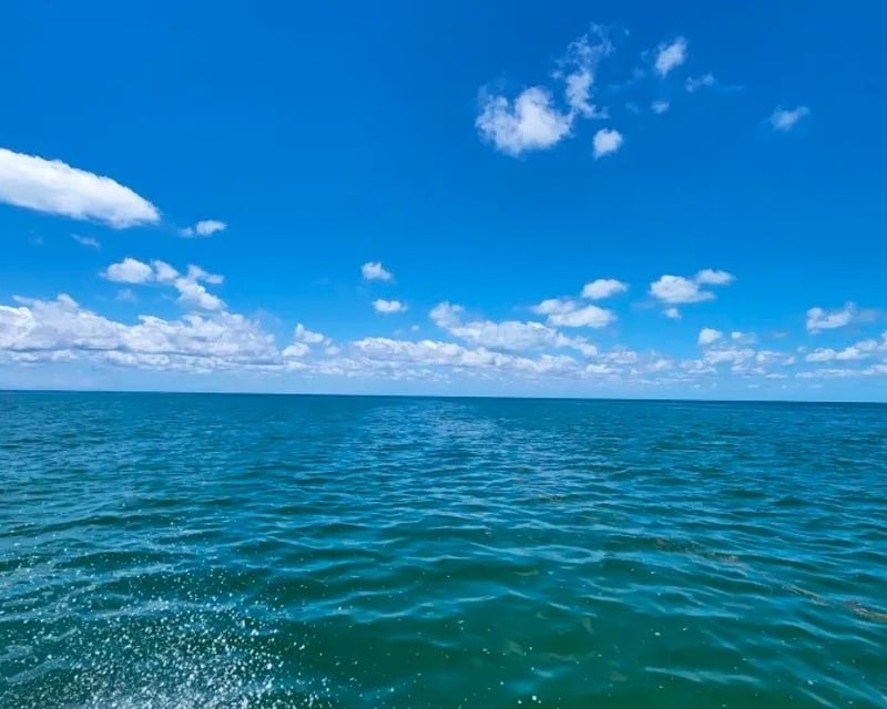 Private Fishing Charter in Key West