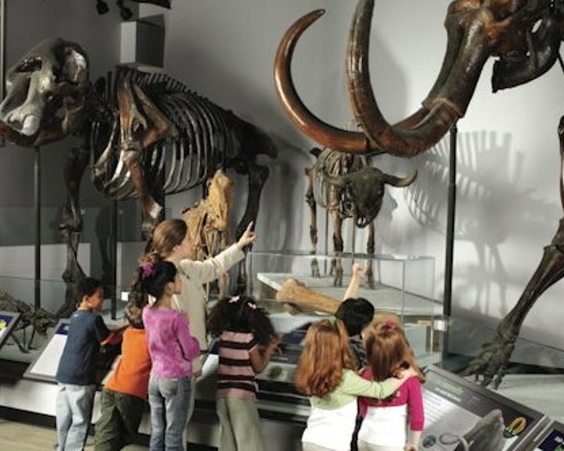 Field Museum of Natural History Admission in Chicago