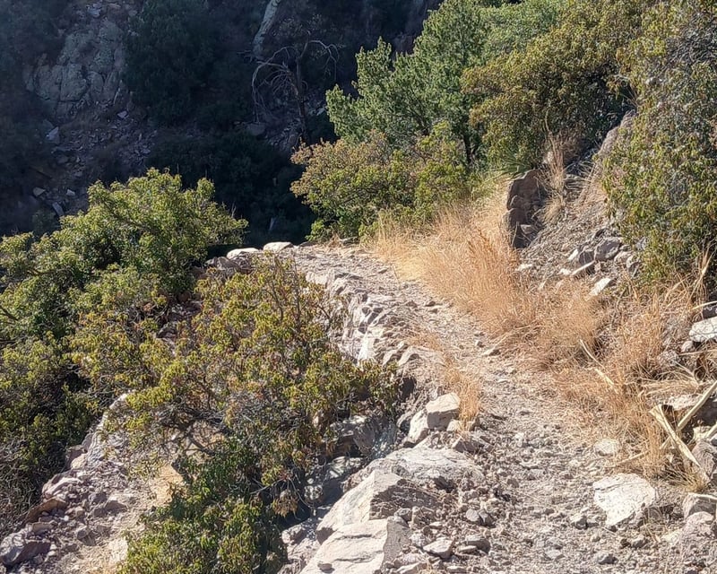 Hike Joe's Canyon Trail to Coronado Peak From Bisbee