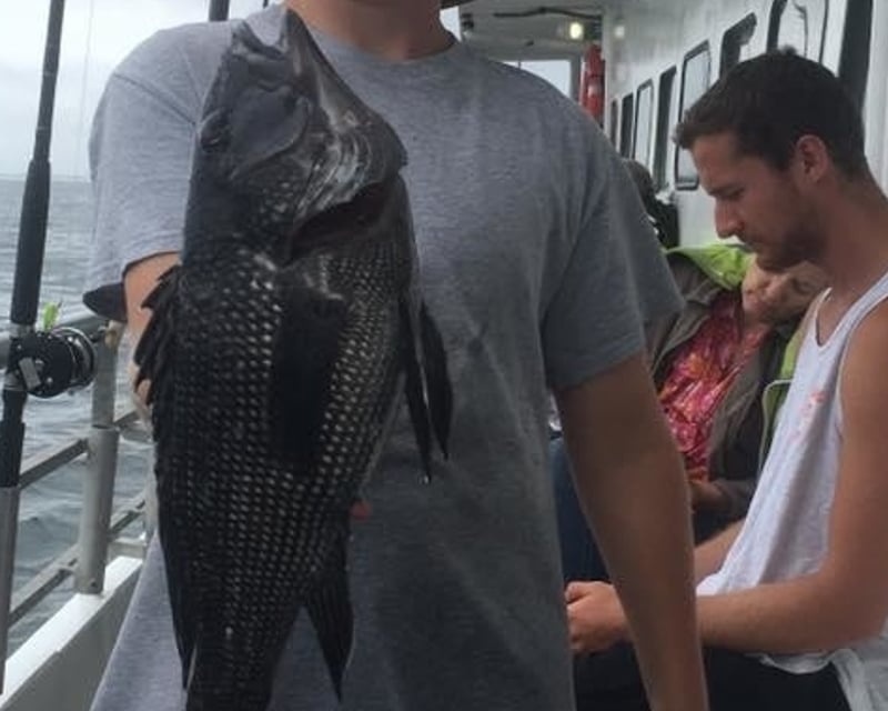 Sea Bass Wreck Fishing Trip in Brielle, NJ