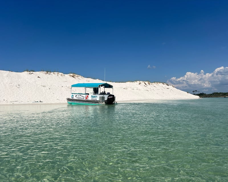 Dolphin Tour on a Covered Pontoon in Pensacola Beach