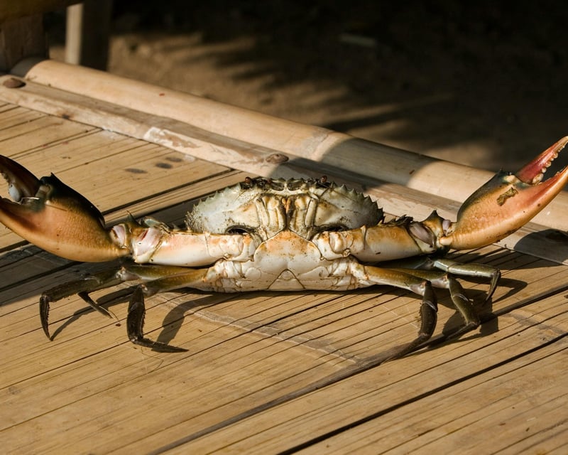 5-Hour Crabbing & Fishing Charter in Ketchikan