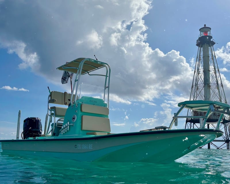 Islamorada Sandbar & Snorkel Charter