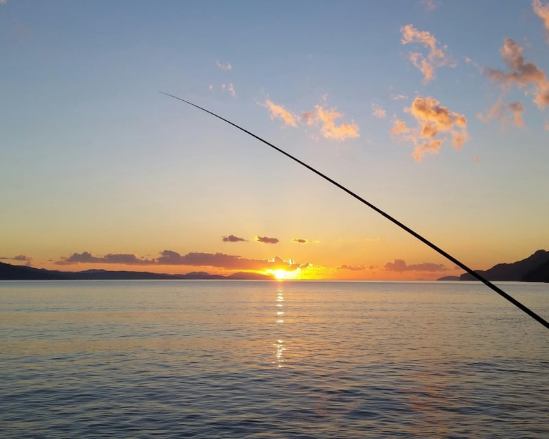 Family-Friendly Inshore Fishing Charter in North Port