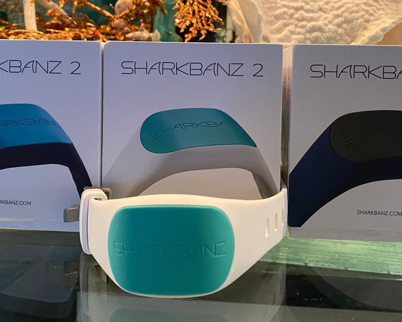 Shark Banz 2 Magnetic Band Daily Rental in Maui