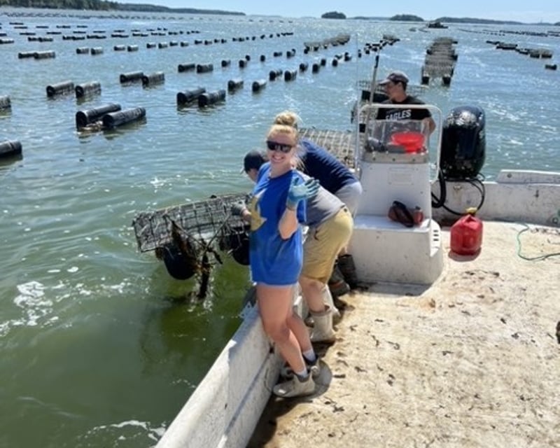 Tour Mere Point Oyster Farm by Boat From Portland