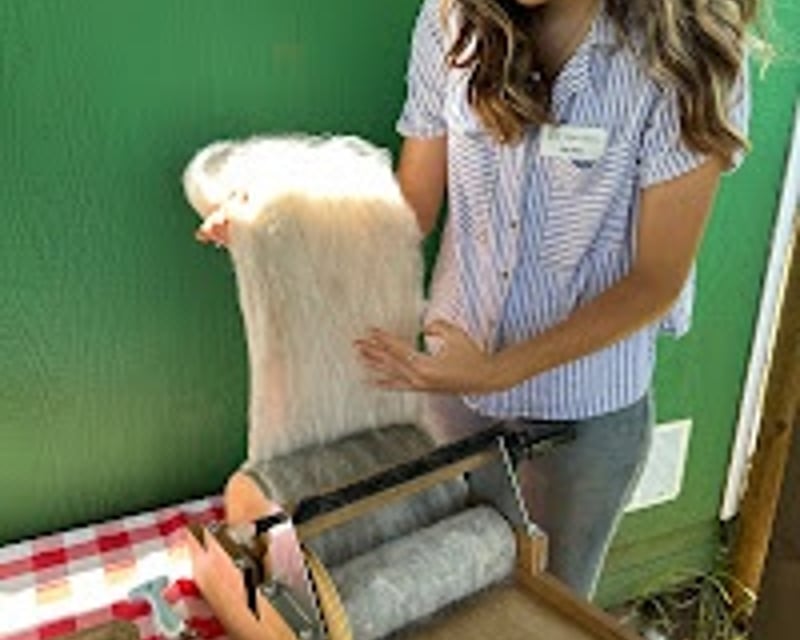 Makawao Alpaca Fiber Workshop