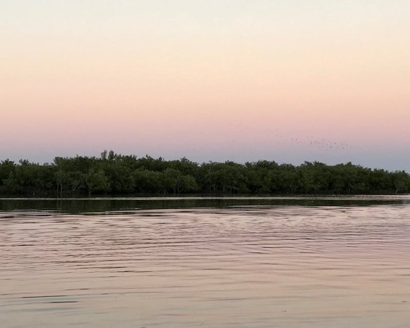 Evening Dolphin Cruise in New Smyrna Beach