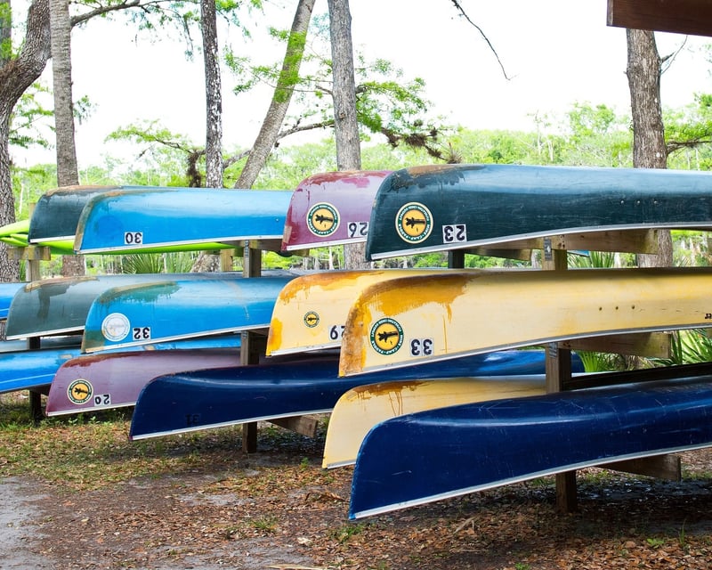 Full-Day Paddling Rental on Fisheating Creek