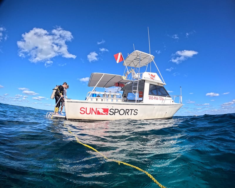 4-Hour Scuba & Snorkel Boat Trip in Key Largo