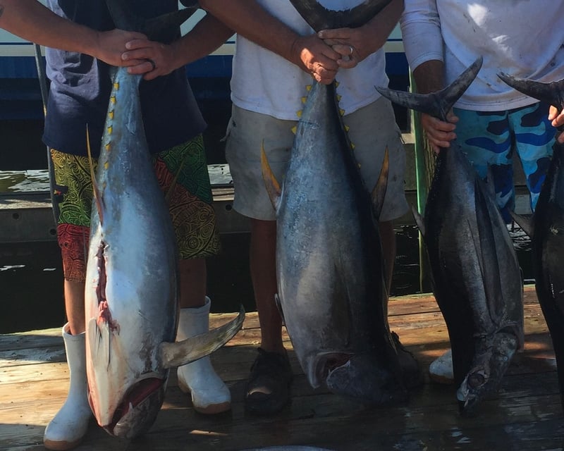 Private Canyon Tuna & Mahi Fishing Charter in Fair Haven
