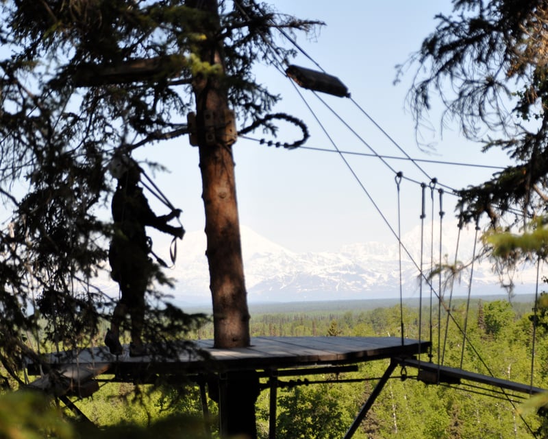 9-Zipline Guided Tour in Talkeetna