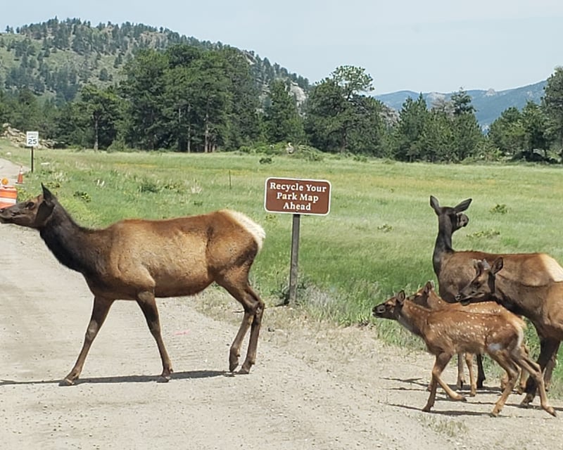 Private Full-Day Guided Hike in Rocky Mountain National Park