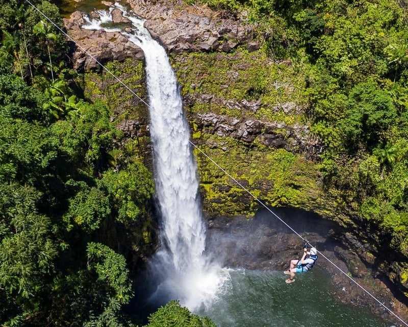 Zipline Over Kolekole Falls with Hilo Cruise Ship Pickup