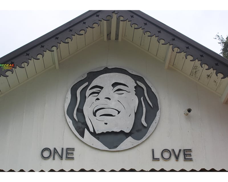 Bob Marley Mausoleum & Dunn's River Falls Tour