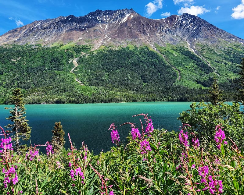 Private Skagway Guided Charter
