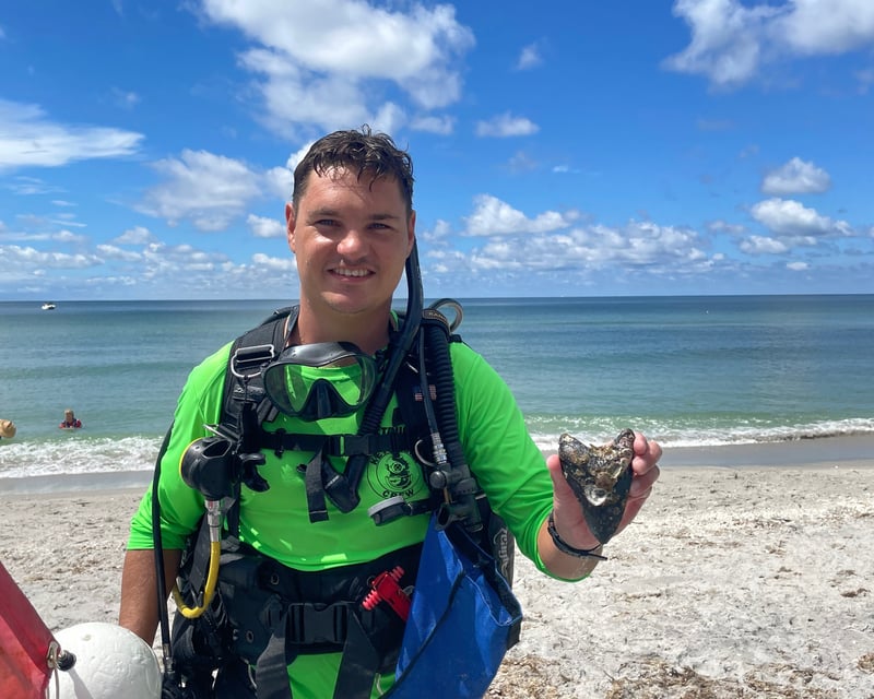 Guided Megalodon Fossil Shore Dive in Venice