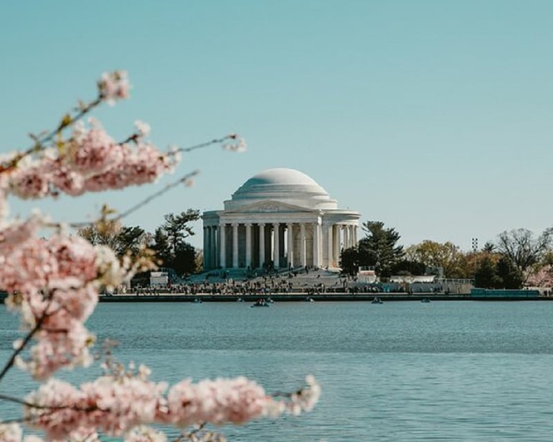 Full-Day Washington DC Monuments & Mount Vernon Bus Tour