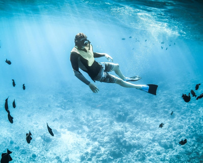 Reef Snorkeling Charter in Key West
