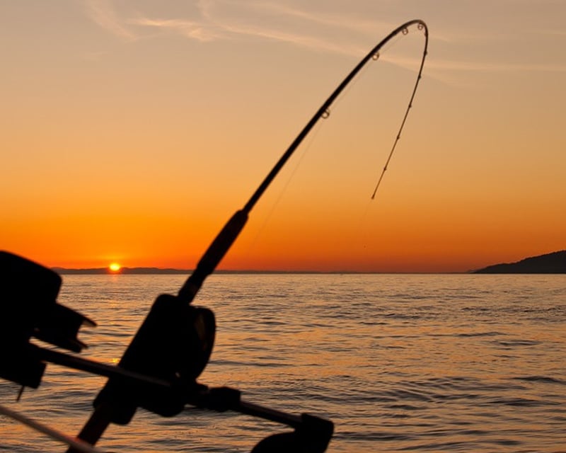 Private Shark & Mackerel Fishing Charter in Hilton Head