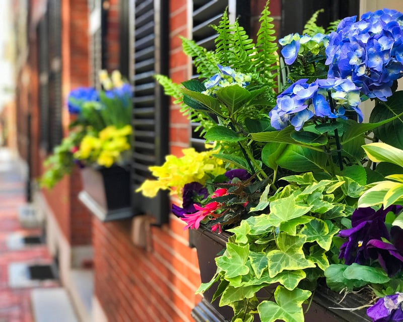 Explore Beacon Hill Photo Walking Tour in Boston