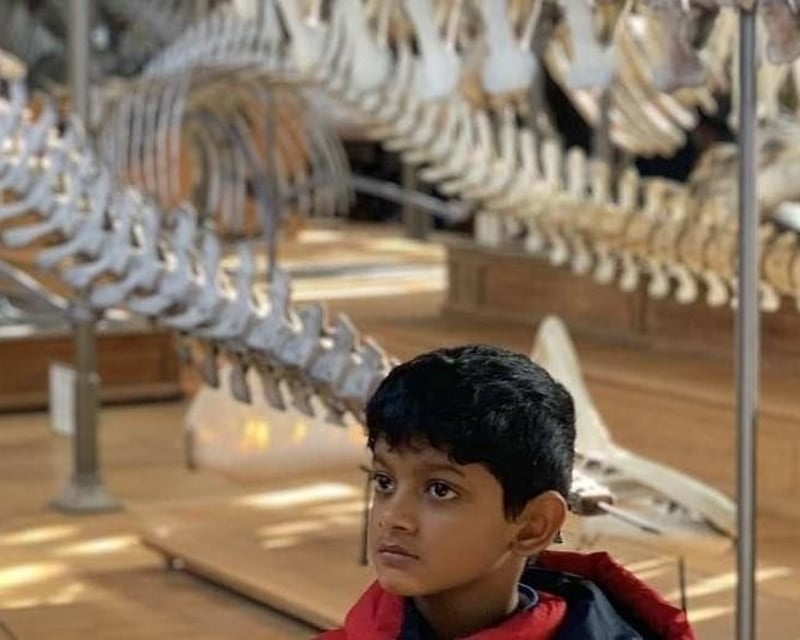 Smithsonian Natural History Museum Private Family Tour