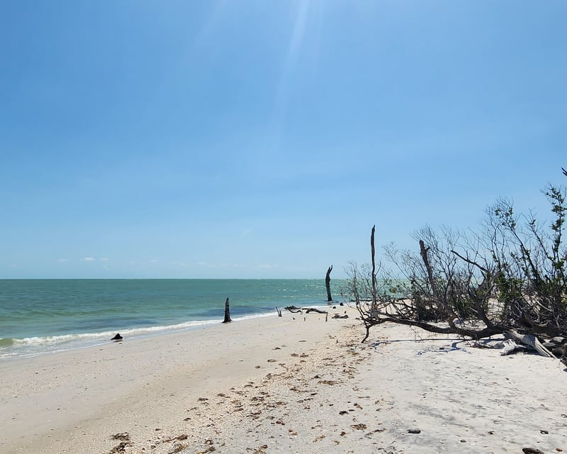 Cape Coral 6-Hour Island Tour