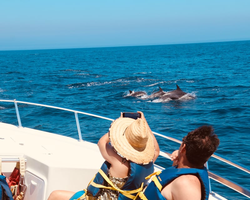 2-Hour Catalina Island Charter