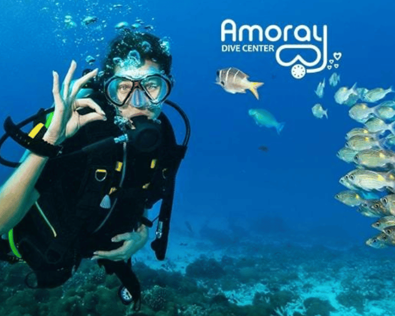 Explore Key Largo on a Night Scuba Dive