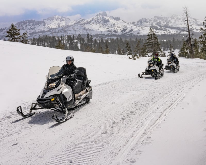 Guided Snowmobile Tour in Hope Valley Near Lake Tahoe