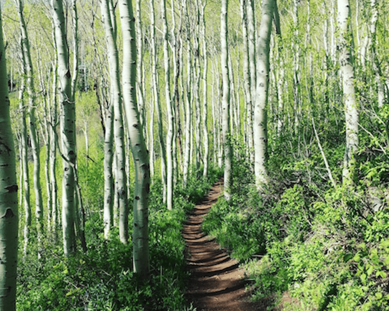 Private Guided Mountain Hike in Park City
