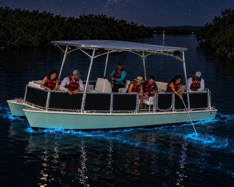 La Parguera Bioluminescent Bay Catamaran Tour