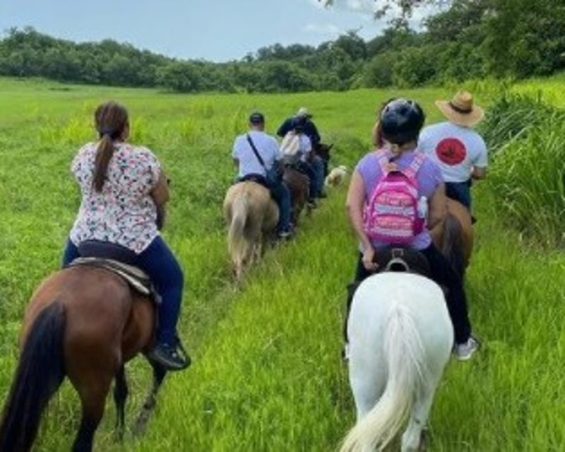 Corozo Forest & Wetland Nature Tour in Manatí, Puerto Rico