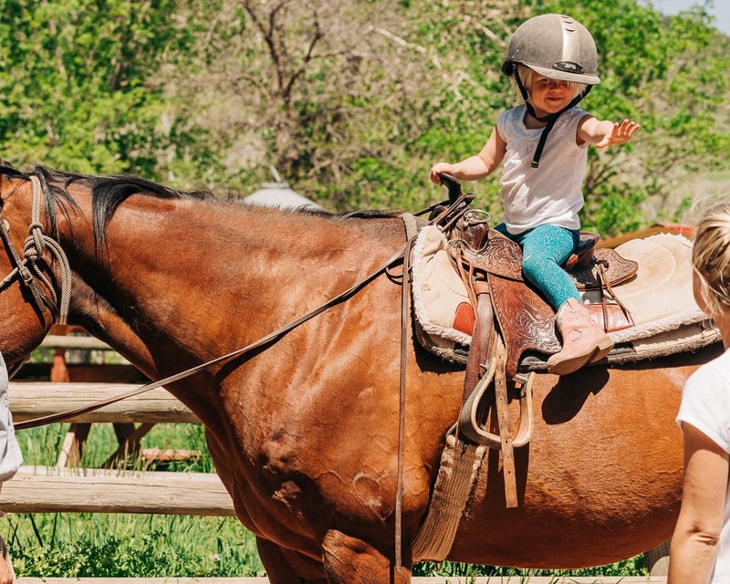 Loveland Guided Pony Ride for Ages 3-6