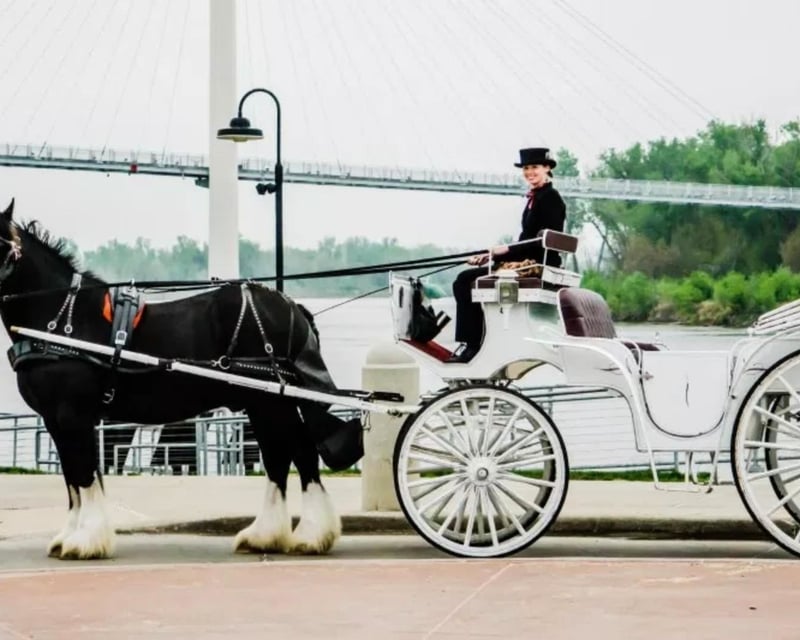 Guided Vis-a-Vis Carriage Ride in Omaha