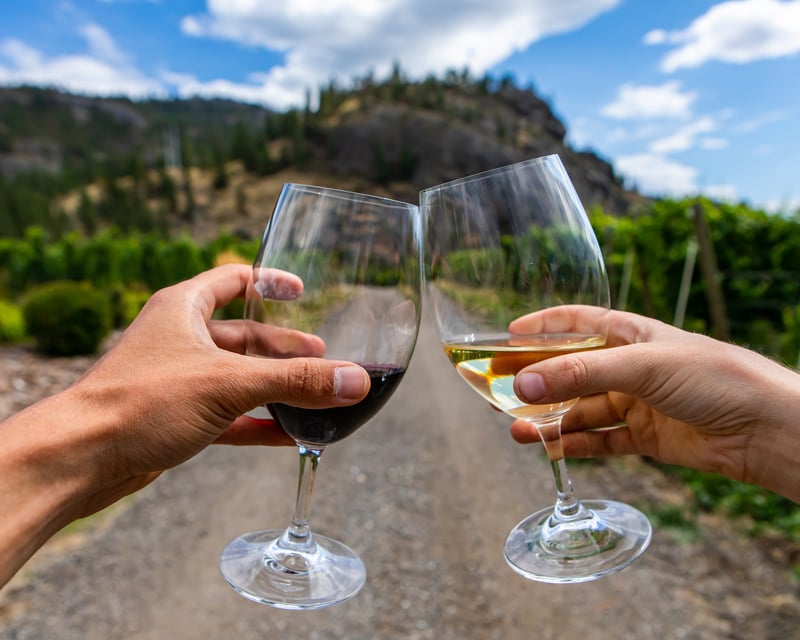 Danbury UTV Rental & Wine Tasting