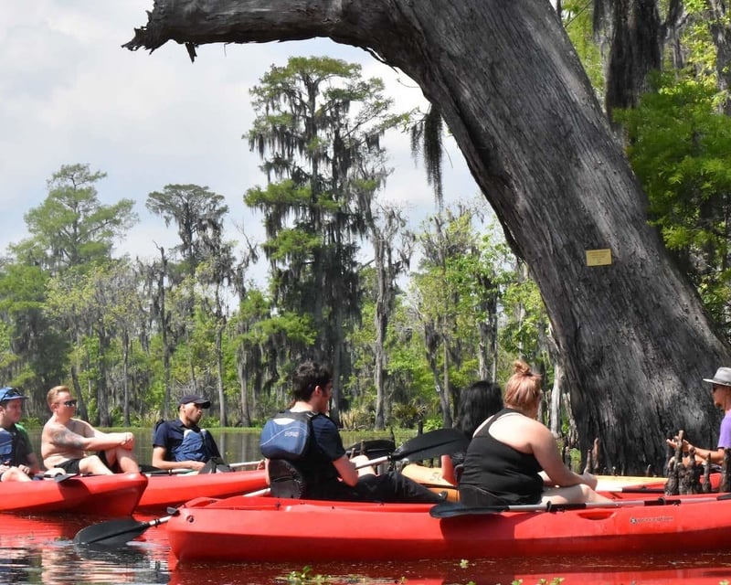 Private Manchac Swamp Wildlife Kayak Tour near New Orleans