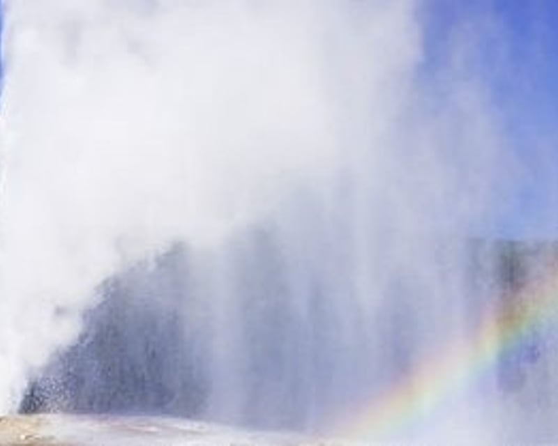 Full-Day Yellowstone & Old Faithful Tour from Jackson