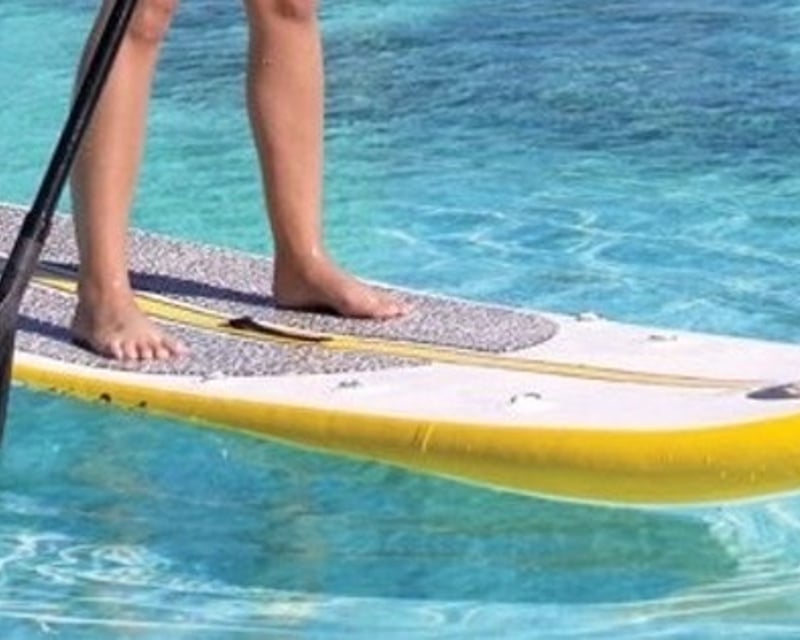 Gulf Coast Paddle Board Rental in Clearwater