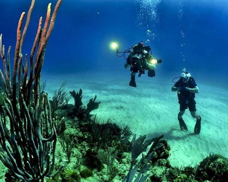 Dive 2-Tank Private Charter in Key West