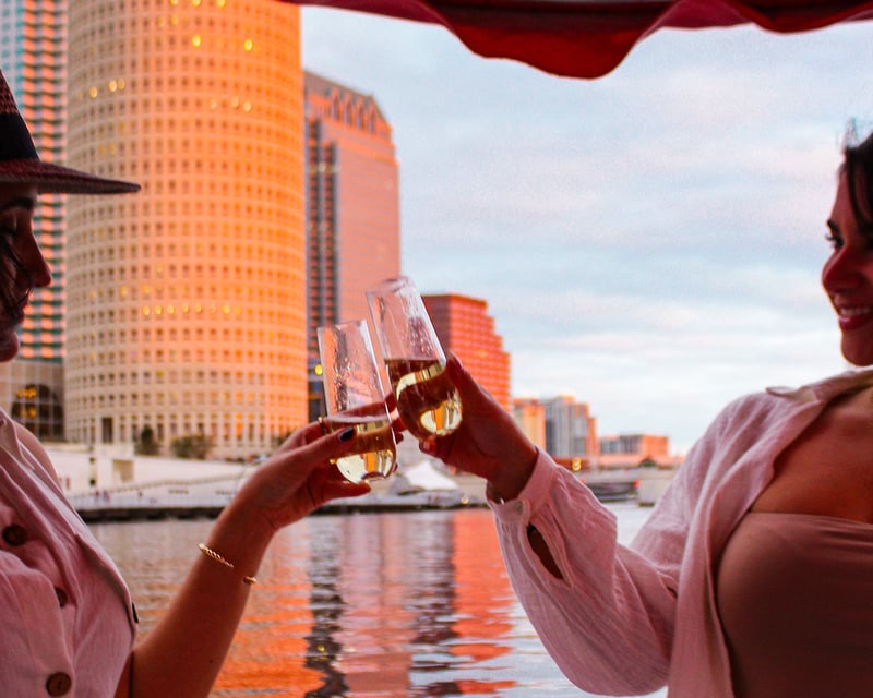 Pink Electric Sunset Cruise in Tampa
