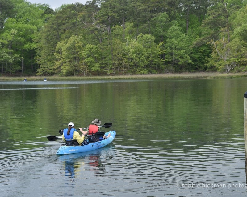 Private Guided Kayak Eco Tour in Virginia Beach