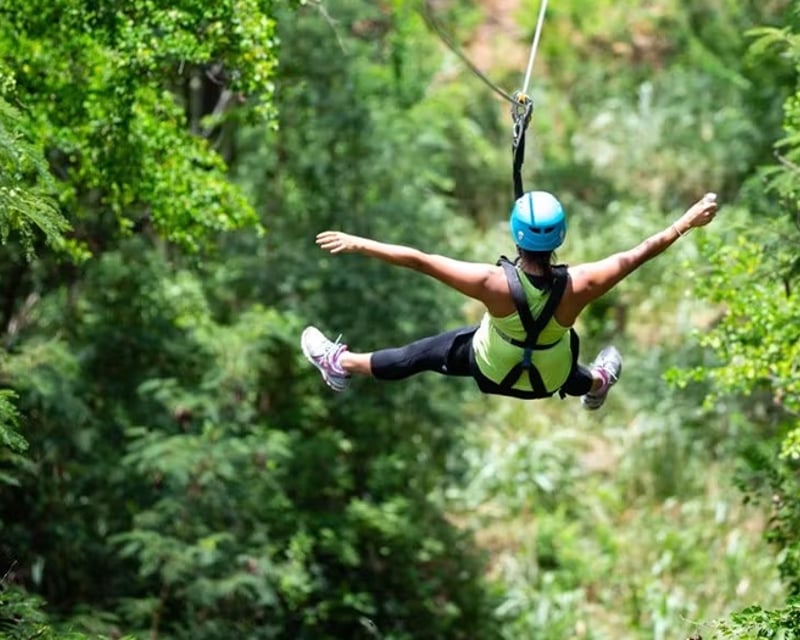 Three Ziplines with Waikiki Transportation