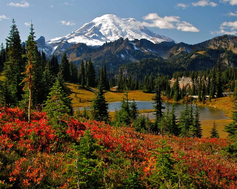 Private Full-Day Mt. Rainier Tour with Custom Hikes
