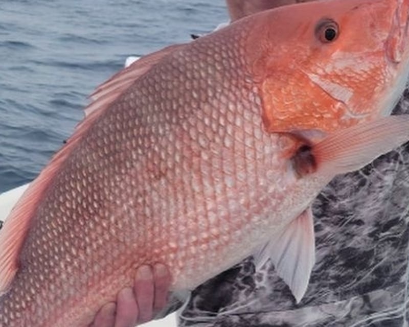 Destin Red Snapper Fishing Charter