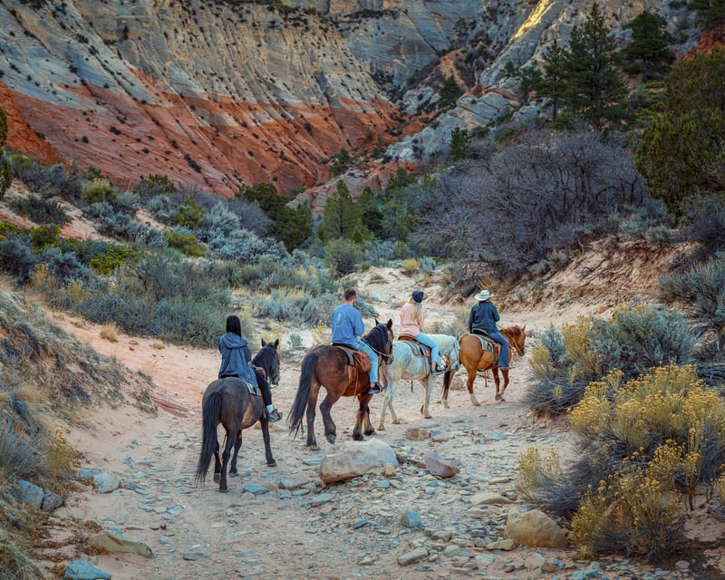 Slot Canyon Horseback Ride in Orderville Near Zion