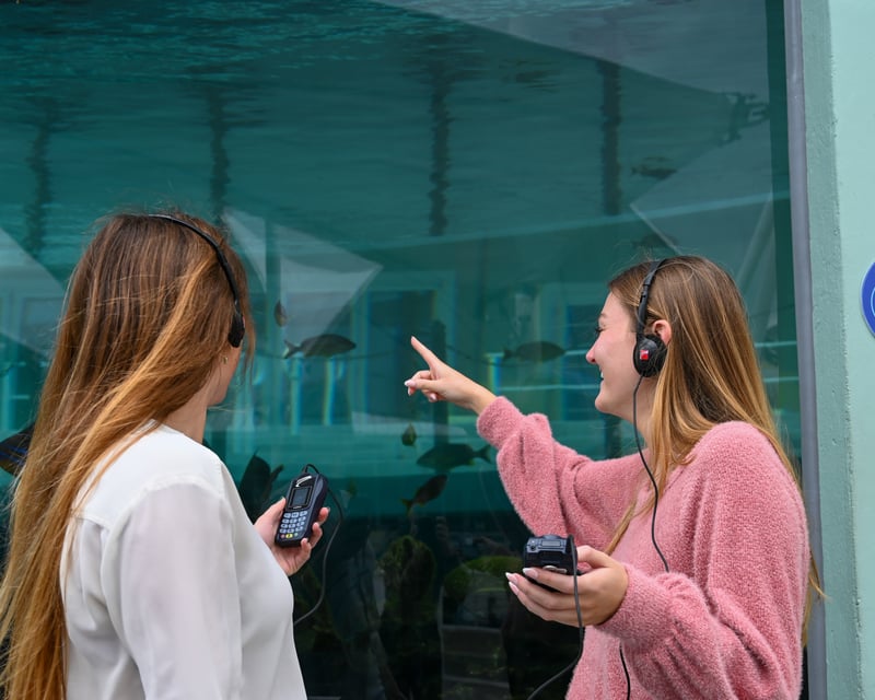 Self-Guided Audio Tour at Loggerhead Marinelife Center
