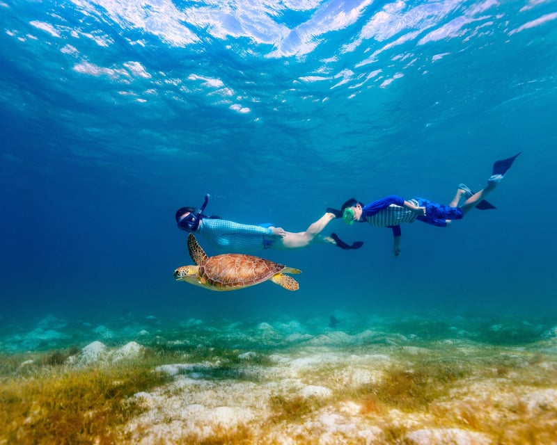 Turtle Canyon Snorkel Tour by Zodiac Raft in Waikiki