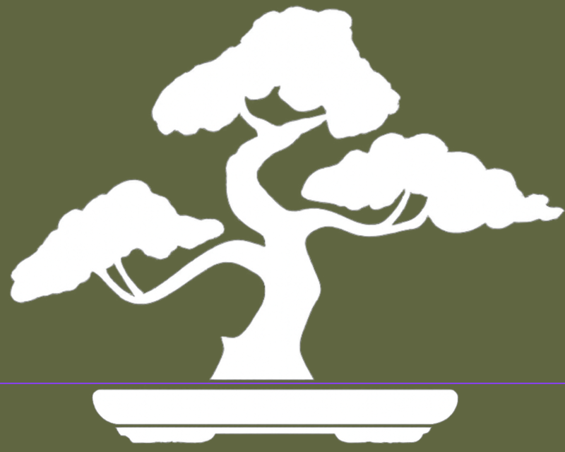 Bonsai Workshop in Tacoma